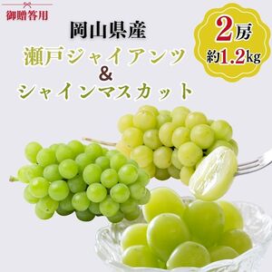 御贈答用 岡山県産 瀬戸ジャイアンツ シャインマスカット 2房入り(1.2kg以上) ぶどう ブドウ 葡萄 フルーツ 果物 岡山 瀬戸内市