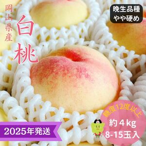 [2025年先行受付] 白桃 特秀 ロイヤル 大玉 晩生品種 約4kg(8〜15玉) 岡山県産 桃 もも モモ 御中元 ギフト 御礼 プレゼント 御礼 御祝 御供 果物 くだもの フルーツ