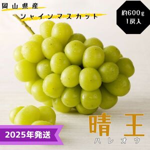 [2025年先行受付] シャインマスカット 晴王 秀品 約600g 1房 岡山県産 ぶどう 葡萄 ブドウ 御中元 ギフト 御礼 プレゼント 御礼 御祝 御供 果物 くだもの フルーツ