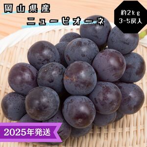 [2025年先行受付] ぶどう ニューピオーネ 秀品 約2kg(3〜5房) 岡山県産 ぶどう 葡萄 ブドウ ギフト 御礼 プレゼント 御礼 御祝 御供 果物 くだもの フルーツ