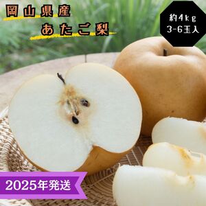 [2025年先行受付] 梨 あたご梨 秀品 約4kg(3〜6玉) 岡山名産 日本一大きな梨 なし ナシ お歳暮 ギフト 御礼 プレゼント 御礼 御祝 御供 果物 くだもの フルーツ