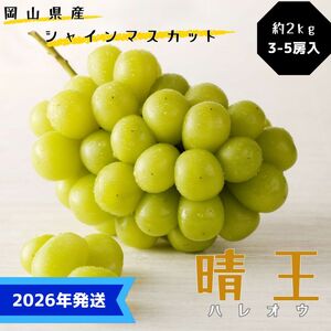 [2026年先行受付] シャインマスカット 晴王 ハウス栽培 約2kg(3〜5房目安) 岡山県産 ぶどう 葡萄 ブドウ 御中元 ギフト 御礼 プレゼント 御礼 御祝 御供 果物 くだもの フルーツ