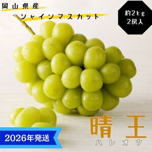 y2026Nstz VC}XJbg  Gi  2kg 2[ RY Ԃǂ  uhE Mtg  v[g  j 䋟 ʕ  t[c