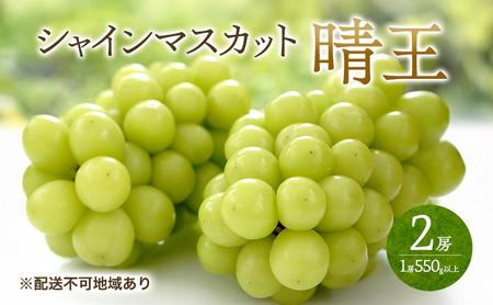 �Ԃǂ� 2026�N ��s�\�� �V���C�� �}�X�J�b�g ����  2�[ �i1�[550g�ȏ�j �}�X�J�b�g �u�h�E ����  ���R���Y ���Y �t���[�c �ʕ� �M�t�g ���Ύ���