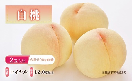 �� 2026�N ��s�\�� ���� ����: ���C���� ���x12.0�x�ȏ� 2�ʓ��� ���v500g�O�� ���� ���� ���R���Y ���Y �t���[�c �ʕ� �M�t�g