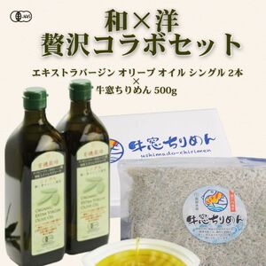 有機オリーブオイル×瀬戸内ちりめん“和×洋"贅沢コラボセット オーガニック 調味料 油 オリーブ油 食用油 ちりめんじゃこ 牛窓 ちりめん 瀬戸内海産