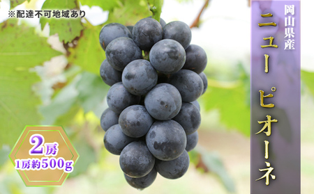 �Ԃǂ� 2026�N ��s�\�� �j���[ �s�I�[�l 2�[�i1�[��500g�j �u�h�E ����  ���R���Y ���Y �t���[�c �ʕ� �M�t�g