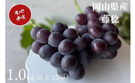 �Ԃǂ� ���� 2�[ ���v1.0kg�ȏ� �Y�n���� ���̂� �Ԃǂ� ���� �V���C�� �}�X�J�b�g ���R Kawahara Green Farm 2026�N ��s�\��