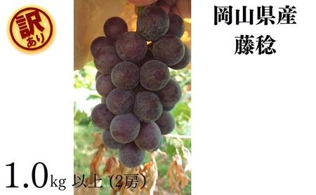 �󂠂�  ���� 2�[ ���v1.0kg�ȏ� �Y�n���� ���̂� �Ԃǂ� ���� ���R Kawahara Green Farm 2026�N ��s�\��