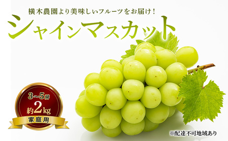 ぶどう 2026年 先行予約 シャイン マスカット 3〜5房 約2kg 家庭用 ブドウ 葡萄 岡山県産 国産 フルーツ 果物 横木農園 ジューシー 種無し