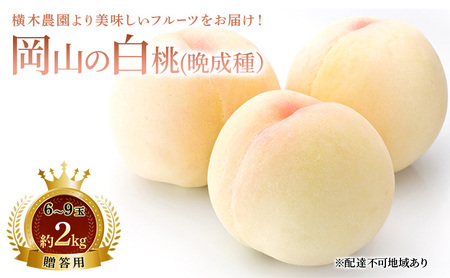桃 2026年 先行予約 岡山の白桃 (晩成種)6〜9玉 約2kg 贈答用 もも モモ 白桃 岡山白桃 岡山県産 国産 フルーツ 果物 ギフト 贈り物 横木農園 スイーツ