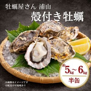 殻付き牡蠣 約5〜6kg前後 半缶 [数量限定]2026年先行予約 加熱用