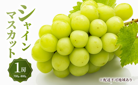 ぶどう 2026年 先行予約 シャイン マスカット 1房 700g〜800g 大粒 種無し ブドウ 葡萄 岡山県産 国産 フルーツ 果物 ギフト MAKANAファーマーズ 果物類 シャインマスカット