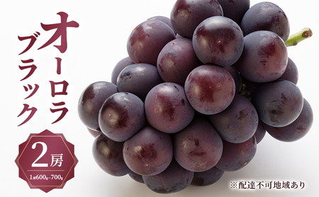 ぶどう 2026年 先行予約 オーロラ ブラック 2房(1房600g〜700g) 大粒 種無し ブドウ 葡萄 岡山県産 国産 フルーツ 果物 ギフト MAKANAファーマーズ 果物類 オーロラブラック