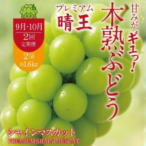 【2回定期便】木熟ぶどう ハレノシャイン シャインマスカット プレミアム 晴王 2房 (1.6kg以上)2回お届け | シャインマスカット 晴王 ハレノシャイン 木熟ぶどう プレミアム 800g以上 1房 岡山県産 ぶどう 葡萄 大房 高糖度 甘い 種なし 皮ごと食べられる フルーツ 果物 人気 産地直送