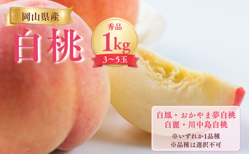 [先行受付]岡山県産白桃1kg [品種おまかせ]