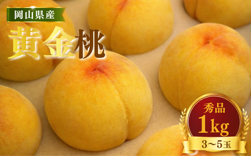 [先行受付]黄桃1kg | 岡山県産 黄金桃 桃 フルーツ 果物 高級フルーツ 岡山 桃 お取り寄せ 産地直送 希少品種 国産フルーツ 黄金桃 人気 数量限定 旬の果物 甘い ジューシー 芳醇 みずみずしい 夏の味覚 先行予約