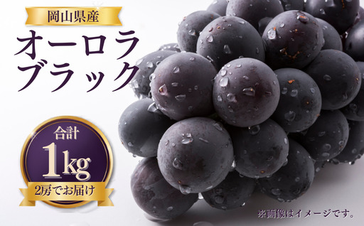 [先行受付] 岡山県産 オーロラブラック 1kg(2房) | オーロラブラック ぶどう 葡萄 岡山県産 国産フルーツ 果物 大粒ぶどう 種なし 甘い ジューシー 旬の果物 フルーツ お取り寄せ 産地直送 人気 数量限定 先行予約 果実