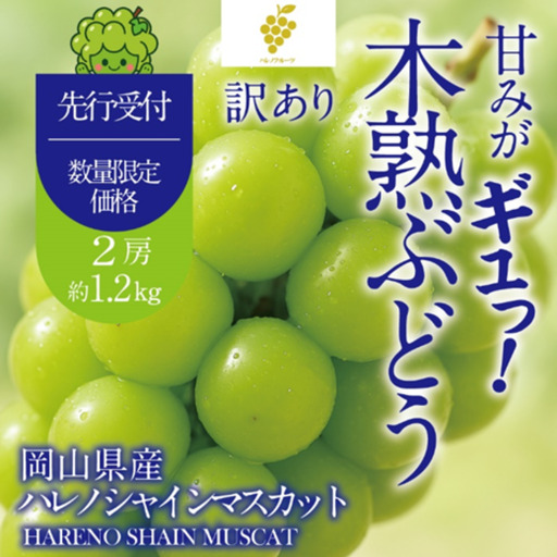 [先行予約][訳あり]木熟ぶどう ハレノシャイン シャインマスカット 2房 約1.2kg 10月〜11月発送 | 岡山県産 皮ごと食べる みずみずしい 甘い フレッシュ 晴れの国 おかやま 家庭用 訳あり 訳アリ ハレノフルーツ