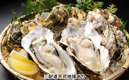 秀栄水産 瀬戸内の 牡蠣 (殻つき ハーフ缶 約6kg前後) 海の幸 海のミルク 海鮮 貝 岡山県 瀬戸内市 虫明湾 魚介類 カキ