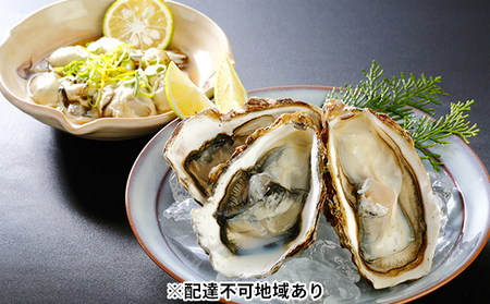 秀栄水産 瀬戸内の 牡蠣 豪華セット(むき身1kg+殻つき約2kg) 海の幸 海のミルク 海鮮 貝 岡山県 瀬戸内市 虫明湾 魚介類 カキ 3kg