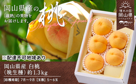 桃 2025年 先行予約 白桃 晩生種 約1.3kg 5〜6玉 もも モモ 岡山県産 国産 フルーツ 果物 ギフト 果肉