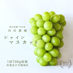 シャインマスカット1房(700g前後)内田農園 岡山県 瀬戸内市 邑久町産 葡萄 ぶどう 2025年[配達不可:北海道・沖縄・離島] 果物類 ブドウ フルーツ