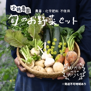 小鶴農園 季節のお野菜7〜9品目セット(農薬・化学肥料不使用)[配達不可:北海道・沖縄・離島]