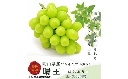 Ԃǂ 2025N s\ VC }XJbg  1[ 950gO uhE   RY Y t[c ʕ Mtg ʕ Ȃ fU[g H  Yn