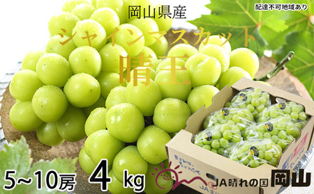 Ԃǂ 2026N s\ VC }XJbg  5[`10[ 4kg 7{`8{ uhE   RY Y t[c ʕ Mtg Ȃ 