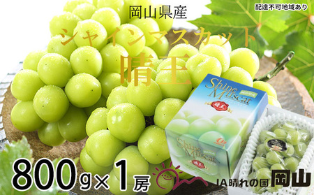 Ԃǂ 2026N s\ VC }XJbg  800g×1[ 7{`8{ uhE   RY Y t[c ʕ Mtg