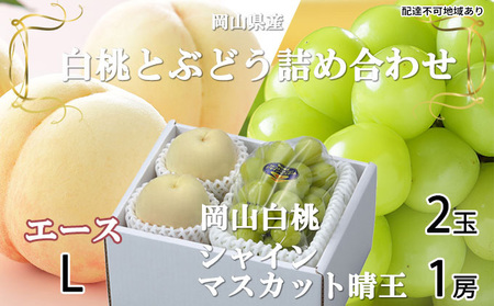 岡山白桃 エース 2玉×約200g(Lサイズ、早生種・中生種)シャインマスカット 晴王 1房約400g 詰合せ