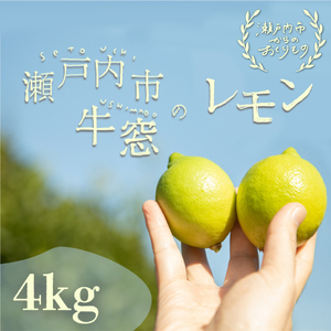 瀬戸内 牛窓産 レモン 約4kg(1果 100g前後)