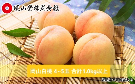 桃 2025年 先行予約 岡山 白桃 4〜5玉 合計1.0kg以上 もも モモ 岡山県産 国産 フルーツ 果物 ギフト 環山堂