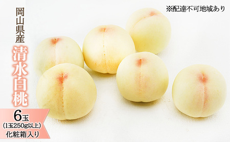  2026N s\   6 i1250gȏjϔ   RY Y t[c ʕ Mtg ō i 蕨