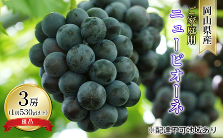 Ԃǂ 2026N s\ ƒp j[ sI[l Di 3[i1[ 530gȏ In͔|j uhE   RY Y t[c ʕ R̕