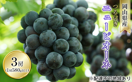 Ԃǂ 2026N s\ t j[ sI[l 3[i1[ 580gȏ In͔|j uhE   RY Y t[c ʕ Mtg R̕