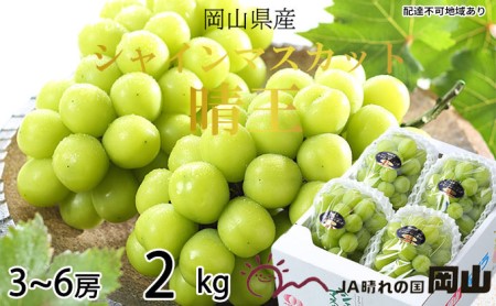 Ԃǂ 2025N s\ VC }XJbg  3[`6[ 2kg 8{`11{ uhE   RY Y t[c ʕ Mtg R̕ fU[g H