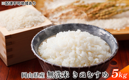 令和7年産 無洗米 きぬむすめ 5kg 白米 お米 岡山 精米 ご飯 おにぎり ライス もちもち ツヤのある炊き上がり 7年連続特Aランクを獲得 