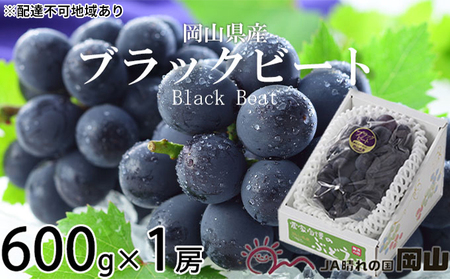 ぶどう 2026年 先行予約 ブラックビート 約600g×1房