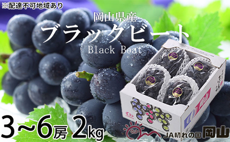 ぶどう 2026年 先行予約 ブラックビート 約2kg 3～6房