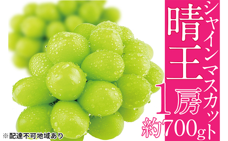 Ԃǂ 2025N s\ VC }XJbg  1[ 700g uhE   RY Y t[c ʕ Mtg fU[g H _Ȃ Yn