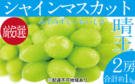 ぶどう 2025年 先行予約 シャイン マスカット 晴王 2房(合計約1kg) ブドウ 葡萄 岡山県産 国産 フルーツ 果物 ギフト デザート 食後 酸味が少ない 産地直送