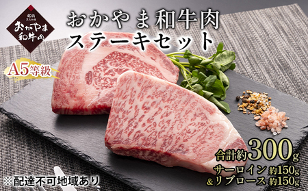 おかやま 和牛肉 A5 等級 ステーキ セット 合計約300g(サーロイン 約150g&リブロース 約150g)牛 赤身 肉 牛肉 冷凍