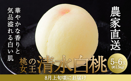  2026N s\   5`6ʓ(1.5kg) p   R Ԕ֎sY Y t[c ʕ Mtg