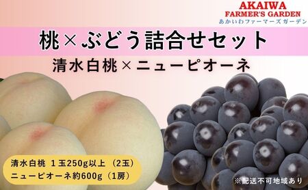 桃 ぶどう 詰合せ 2025年 先行予約 清水 白桃 2玉(1玉250g以上) ニュー ピオーネ 1房 約600g 岡山県 赤磐市産 フルーツ 果物 あかいわファーマーズガーデン