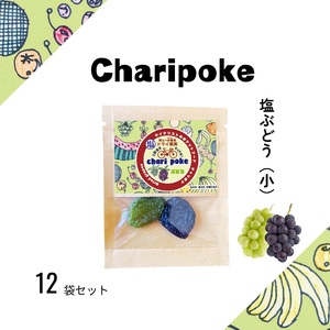 hCt[c Chari poke `|P hCʎ Ԃǂ TCY R