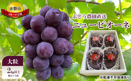 Ԃǂ 2026N s\ Ԃǂ_ ̂ j[sI[l 嗱 2kgȏ(4`5[) uhE  R Ԕ֎sY t[c ʕ Mtg