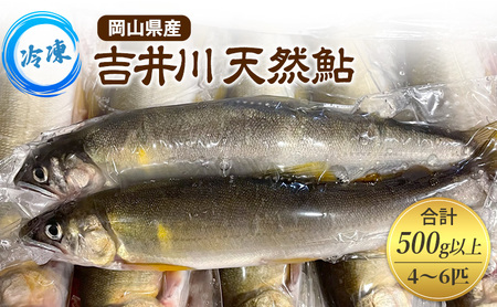 天然鮎 4〜6匹 合計500g以上 [8月上旬〜9月下旬 発送予定] 冷凍 個包装 鮎 アユ あゆ 魚 川魚 岡山県産 吉井川