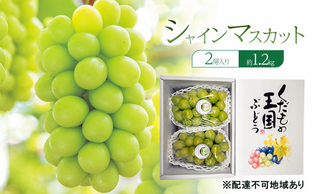 �Ԃǂ� 2026�N ��s�\�� �V���C���}�X�J�b�g 2�[���� ��1.2kg ���R�� �Ԕ֎s �u�h�E ���� �ʕ� �t���[�c